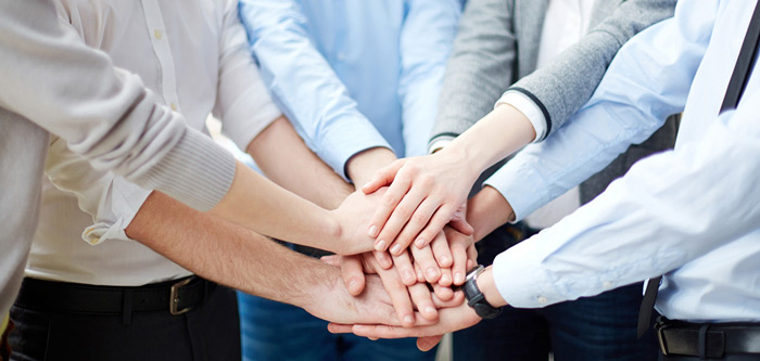 Brand Mission and Values