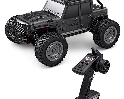 Remote control F1 model car